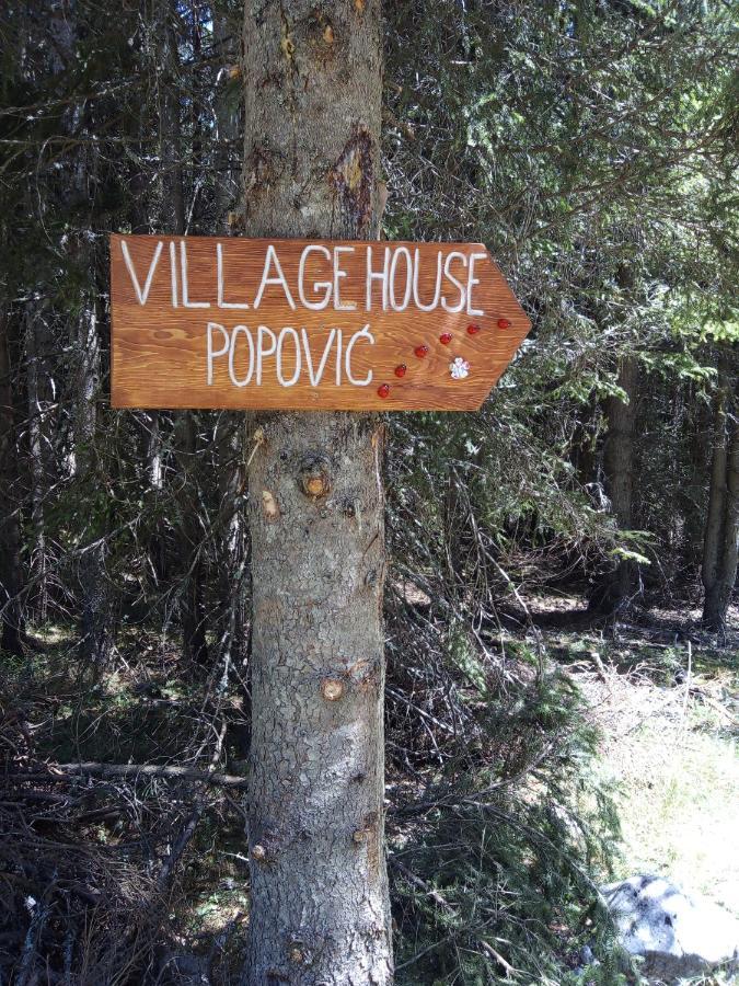 Village House Popovic Zabljak  Ngoại thất bức ảnh